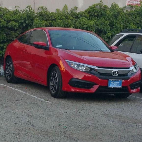 Meet your Posher, Minerva - Picture 1 of 1